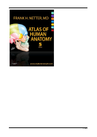 Atlas Of Human Anatomy By Netter.pdf
